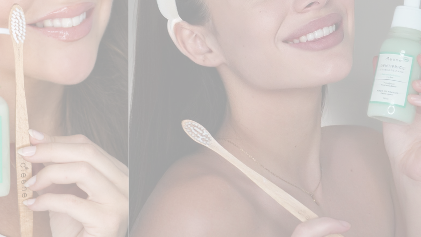 Brosses à dents en bois de hêtre