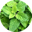 Reassurance Icon